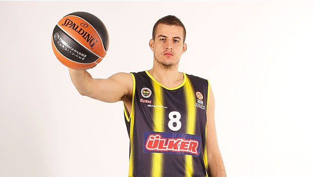 Bjelica resmen Minnesota'da