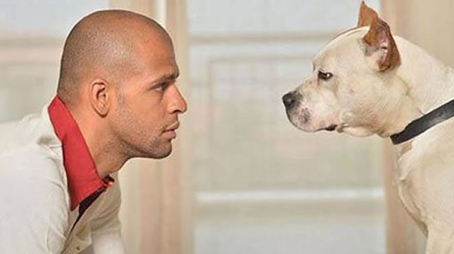 Bunu da yaptı! Felipe Melo, köpeğine...