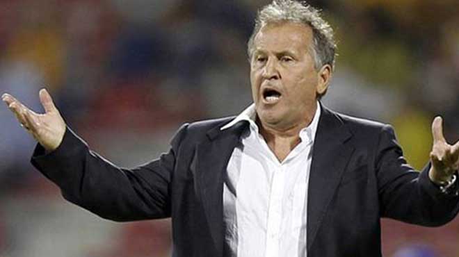 Zico, Platini'ye meydan okudu! 