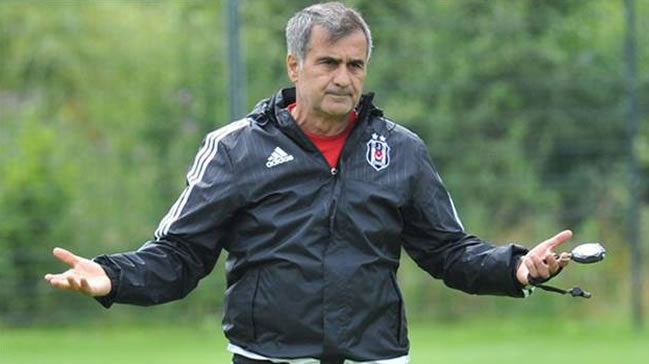 Güneş'ten Orman'a: 'Yeter'