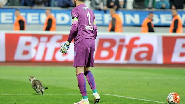 Kasımpaşa-Beşiktaş maçında davetsiz misafir!