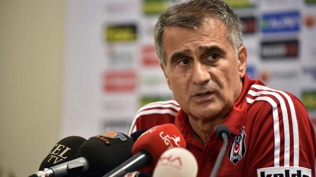Şenol Güneş'ten Mario Gomez ve Van Persie açıklaması!