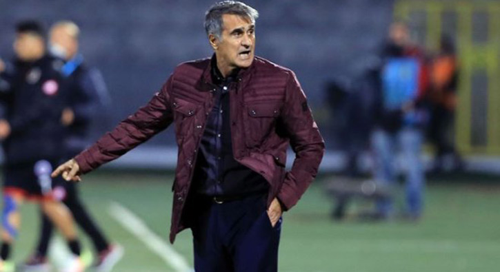 Şenol Güneş: Yaptık, yine yaparız