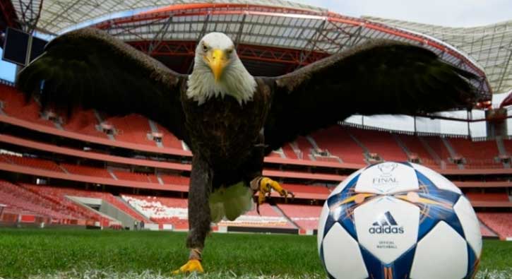 Benfica'dan Beşiktaş taraftarına destek!