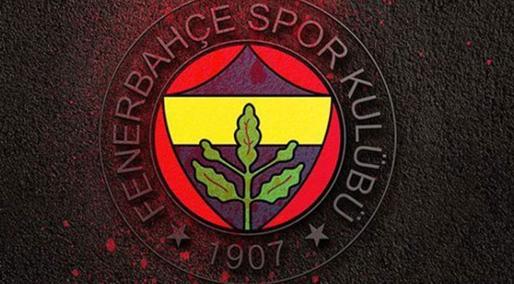 Fenerbahçe Advocaat'a 1 yıllık daha teklif sundu