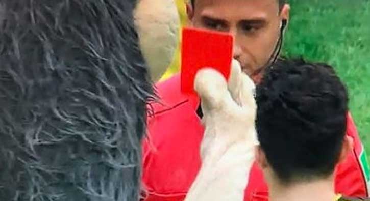 'Salih Dursun' vakası! Hakeme kırmızı kart gösterdi... 