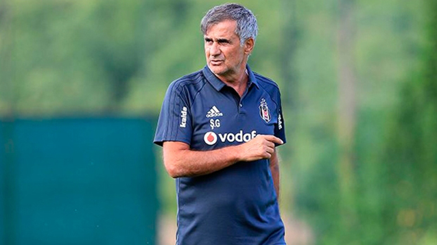 Şenol Güneş'e yardımcı aranıyor!