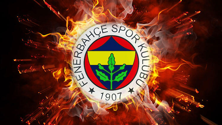 Fenerbahçe'ye 48 maçta 31 gol atan müthiş forvet!